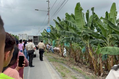 Los restos en descomposición estaban en varias fundas de basura.