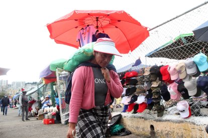 Nancy lleva las compras en su espalda hasta la cajuela de un vehículo.