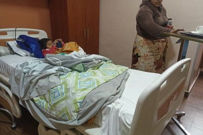 En una clínica privada recibe atención la pequeña mordida por un perro en el sur de Ambato.