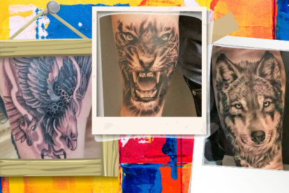 Águilas, tigres, lobos y leones son las especies que varios clientes se estarían borrando por miedo a ser víctimas de bandas organizadas.