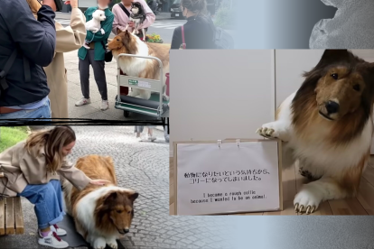 Convertirse en un perro y salir caminar fue el sueño de Toco desde niño.