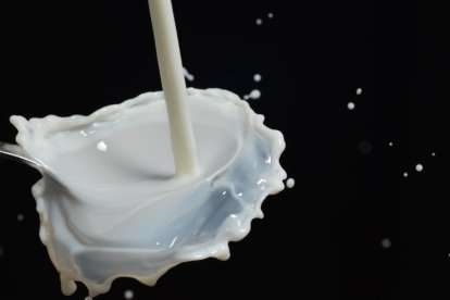 Entre los mitos más comunes está el de creer que se puede embarazar en una piscina