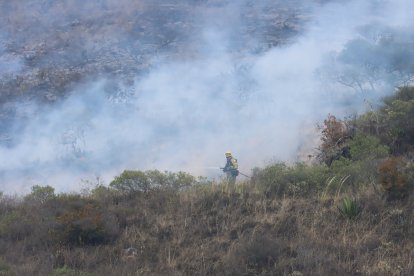 Varias hectáreas afectadas por incendios en Quito.