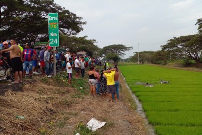 En un sembrío de arroz quedó el cadáver de un hombre.