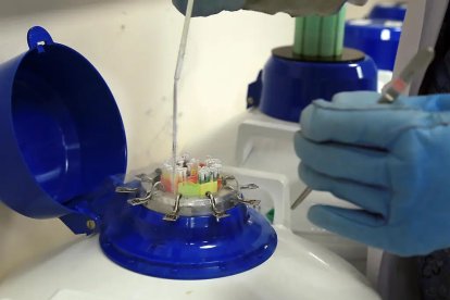 En la imagen, el banco de semen.