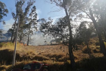 Los incendios sobrepasan la capacidad de los bomberos, y estos han solicitado asistencia militar.