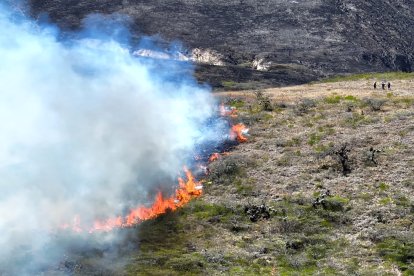 Algunos incendios forestales se reportaron en Azuay el fin de semana.