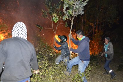 Con ramas de árboles intentaban apagar el intenso fuego.