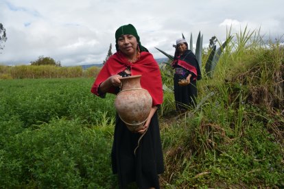 Los salasakas consideran al agave un producto sagrado, porque les da alimento y vestido.