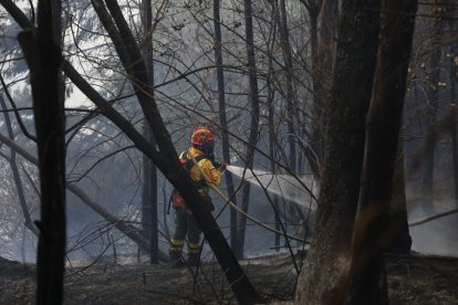 Incendios forestales han generado preocupación en Quito.