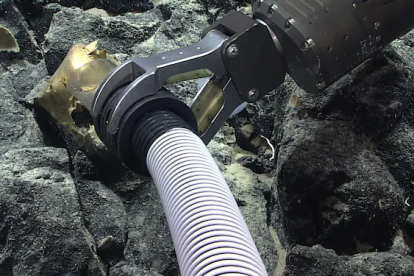 El huevo dorado fue hallado en el Océano Pacífico.