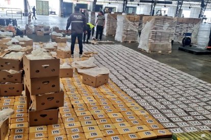 En total se decomisaron un total de 504 bloques de coca, tipo ladrillo