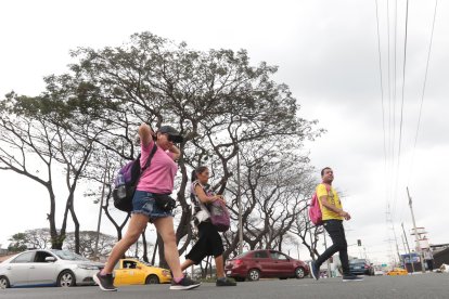 Los efectos de la cochinilla en sectores como Las Acacias son notorios y graves.
