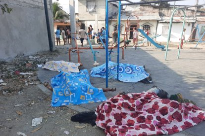 Los cuerpos estaban en estado de descomposición.