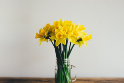 El 21 de septiembre es considerado el día de las flores amarillas.