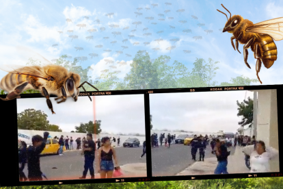 Las personas, en la entrada del panteón, se movían con desesperación de un lado a otro para evitar a los insectos.