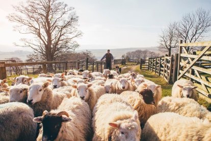 El propietario afectado explicó que ya había perdido la mitad de su porducción debido al mal temporal.