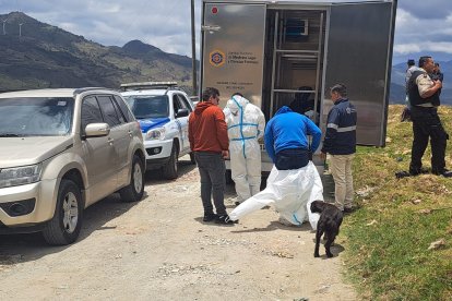 Autoridades llevaron a cabo una búsqueda exhaustiva para localizar el resto del cuerpo en el lugar