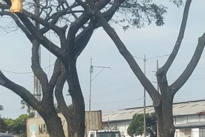 El asesinato se cometió el lunes, aproximadamente a las 15:00, en la avenida 25 de Julio.