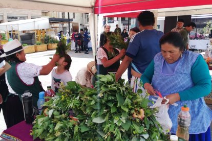 Mujeres rurales tendrán una conversatorio en Cuenca.
