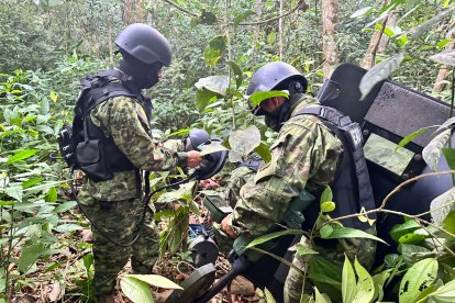 Los militares hicieron un decomiso en la frontera norte de Ecuador.