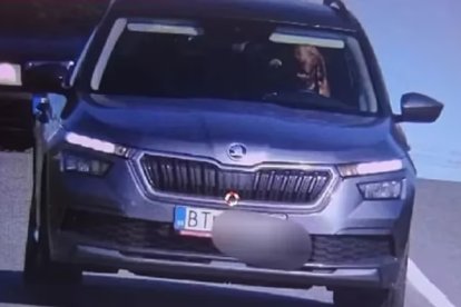 Las imágenes de seguridad captaron al animal conduciendo como si lo hiciera habitualmente.