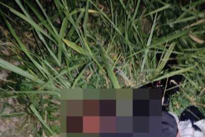 Luis Miguel Bone murió en la escena, mientras que su pareja fue llevada al hospital, donde falleció.