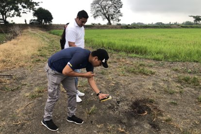 En ese lugar fue encontrado el cadáver decapitado.
