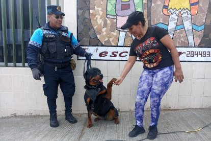 La perrita Molli dando la mano a los votantes.