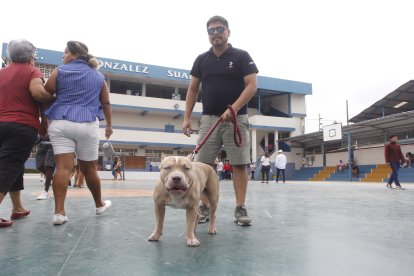 ¡Quieto Zeus! Ricardo Sánchez fue con su guardián canino, que está adiestrado para atacar.