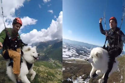 El dueño de la mascota asegura que su perro fue entrenado para realizar este tipo de paseos.