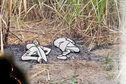 Las dos personas quemadas también presentaban indicios que haber sido atacadas por acción de un arma de fuego.