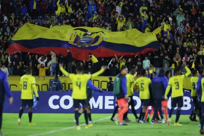 La selección de Ecuador sub-17 se ubicó segunda en el Sudamericano de la categoría que se dio en el país, en abril pasado.