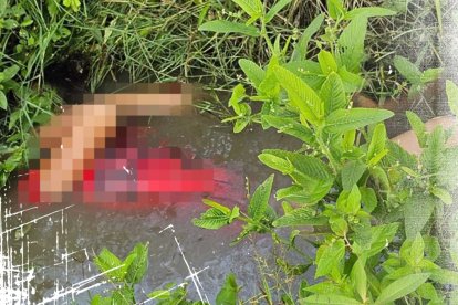 El cuerpo fue sacado del canal y llevado a la morgue de Milagro.