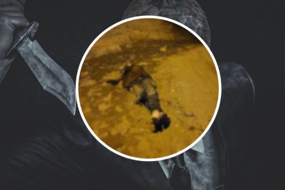 La víctima habría muerto desangrada.