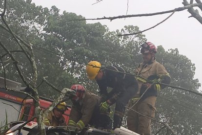 Bus de la Reina del Camino se estrelló.