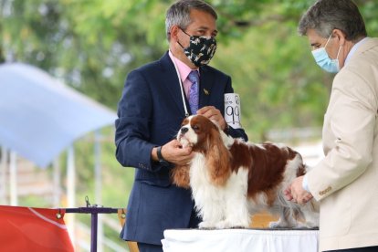 La primera edición del PetFest en Expoplaza.