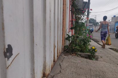 Uno de los sucesos ocurrió fuera de un punto donde se lavaba carros. Casas aledañas quedaron con huecos de balas