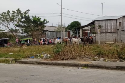 Los curiosos llegaron a ver lo que había pasado.