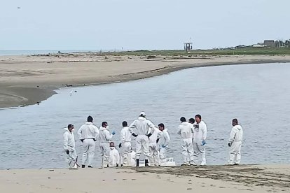 Activan protocolos por gripe aviar.