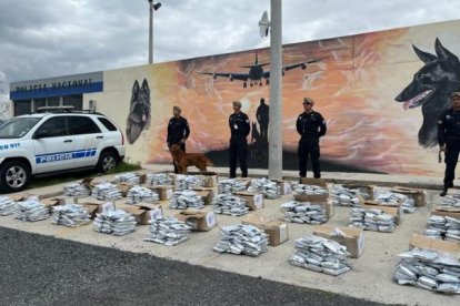 La droga incautada por la Policía Antinarcóticos.