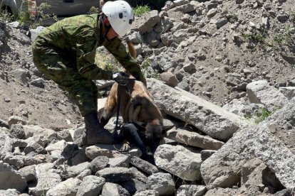 Durante el ejercicio de búsqueda en estructuras colapsadas participaron canes
entrenados.