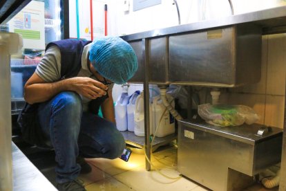 Agentes de Arcsa revisando alimentos de local clausurado.