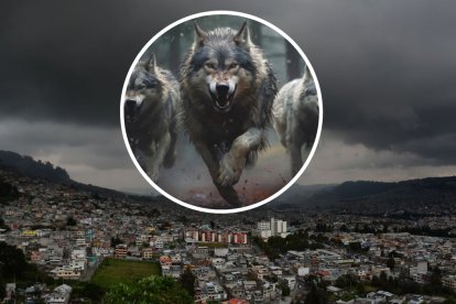 Esta organización sería la responsable del incremento de algunos delitos en la ciudad.