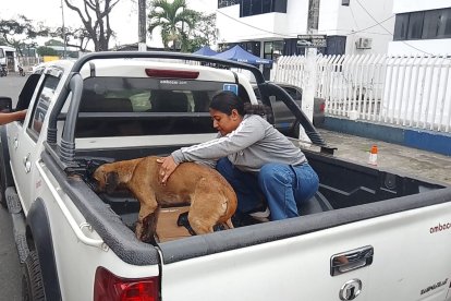 Manchas fue llevado a que lo asistan tras el balazo.