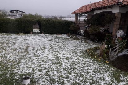 La granizada ha causado afectaciones en los cultivos.