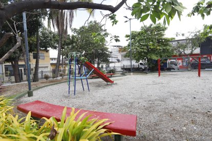 La tragedia sucedió en un parque cercano a la vivienda del menor. Este se ubica a dos cuadras.