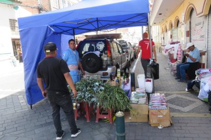 Además de plantas, también se ofertan inciensos y sahumerios.