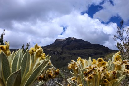 En la ruta se pueden observar a un activo volcán Chiles o el Cerro Negro y Panza de Azúcar, ideales para practicar andinismo o hacer excursión.