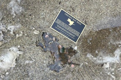 Una persona intentó tapar el agujero, pero los vecinos la recuperaron.